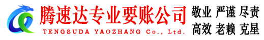 盐田要债公司